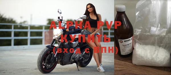 хмурый Алексин