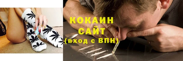хмурый Алексин