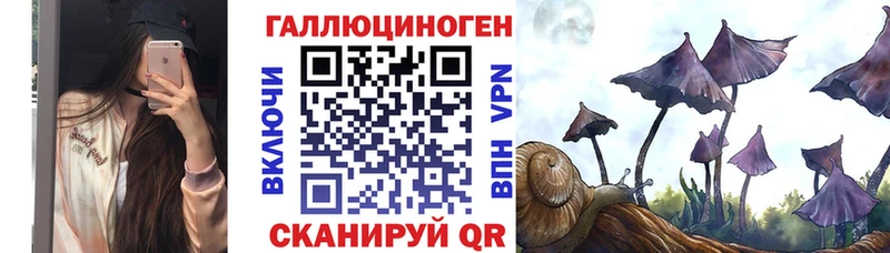 Галлюциногенные грибы Psilocybine cubensis купить наркоту Чайковский