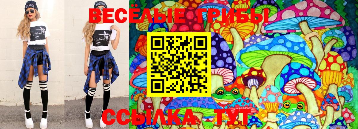 Псилоцибиновые грибы Psilocybine cubensis  Вход с VPN  Чайковский 