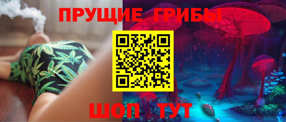 Галлюциногенные грибы Psilocybine cubensis Чайковский